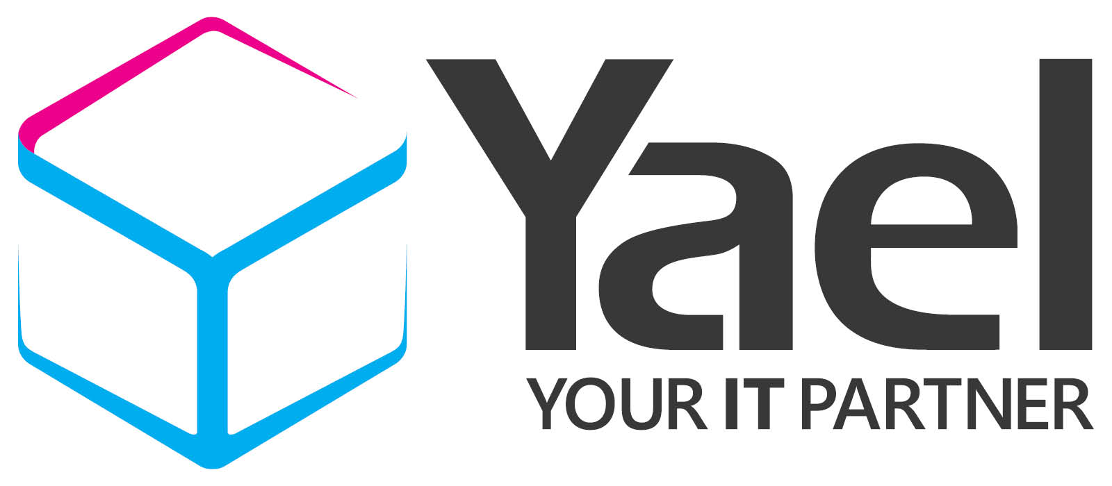 yael main logo jpg